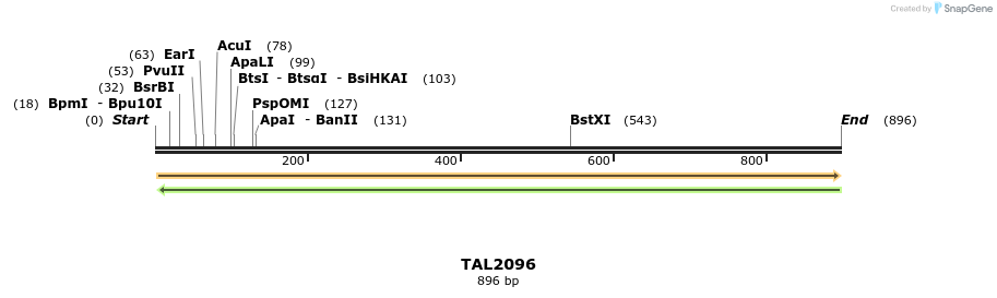 52596_map