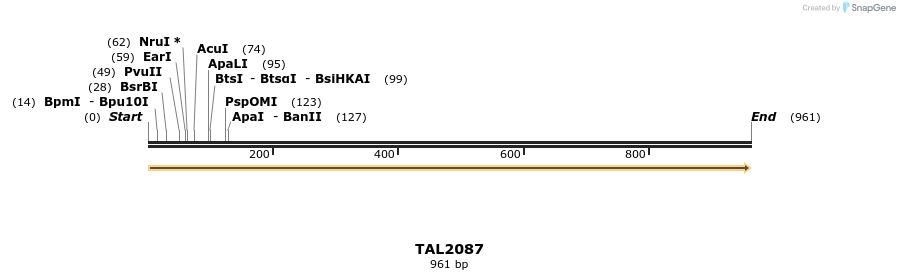 52597_map