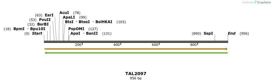 52598_map