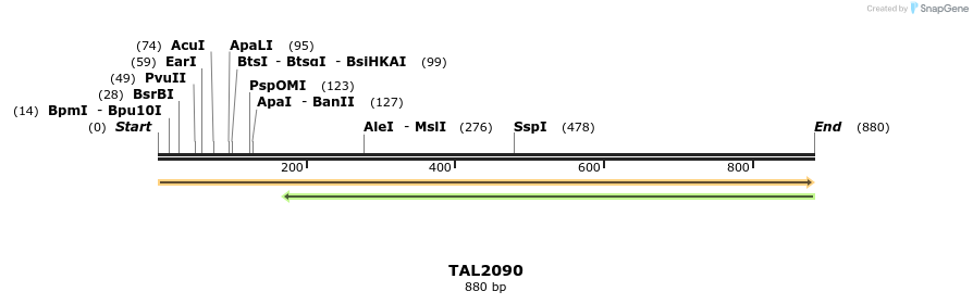 52599_map