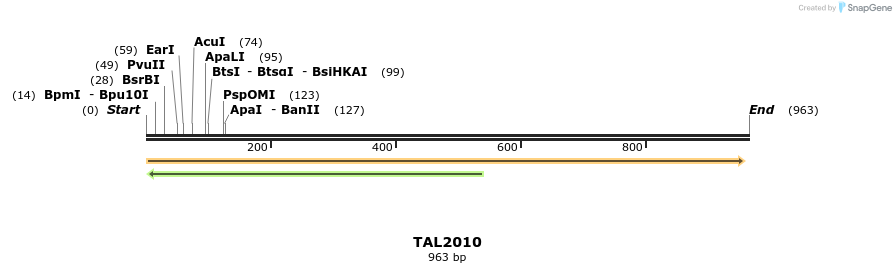 52602_map