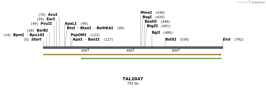 52604_map