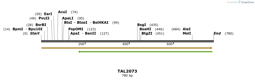 52606_map