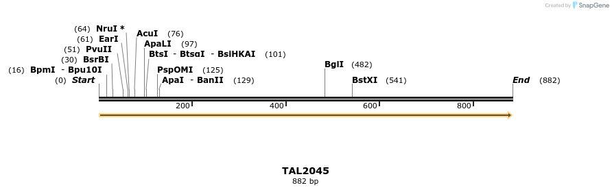 52608_map