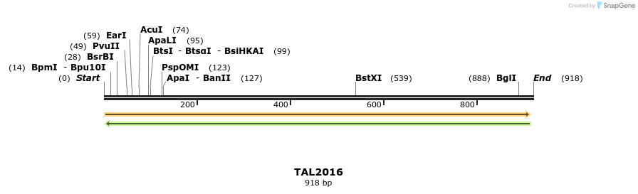 52615_map