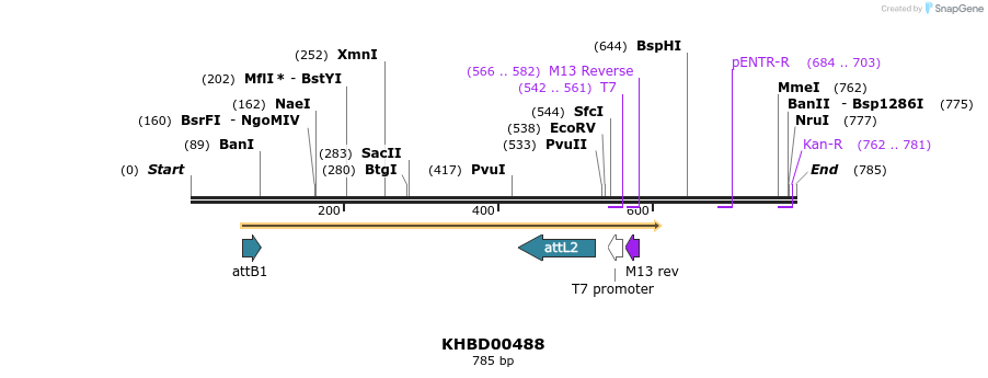 52616_map