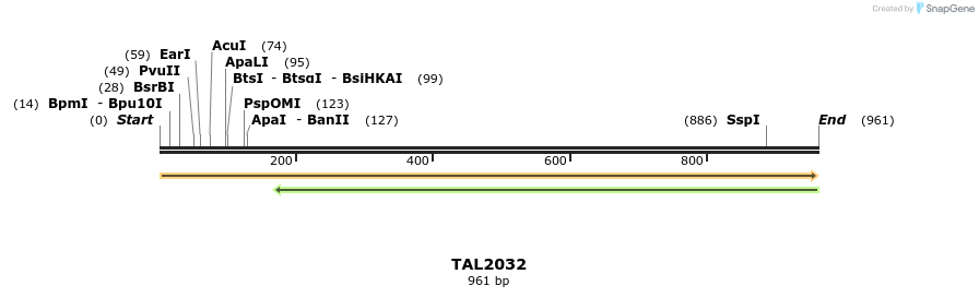 52617_map