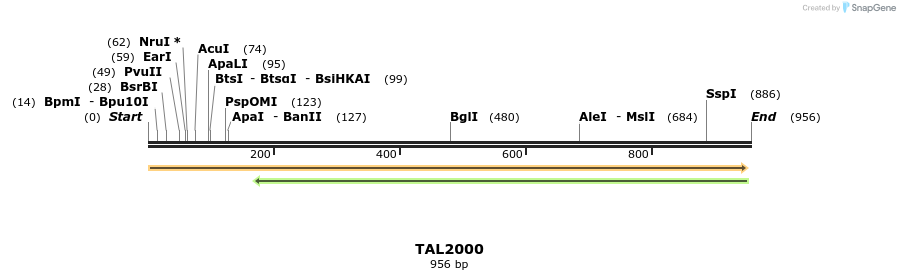 52618_map
