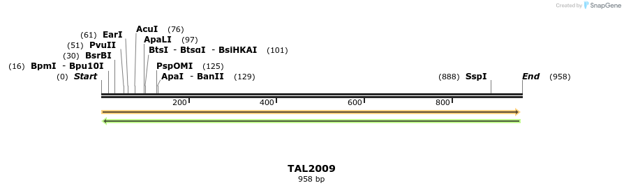 52619_map