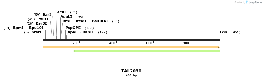 52620_map