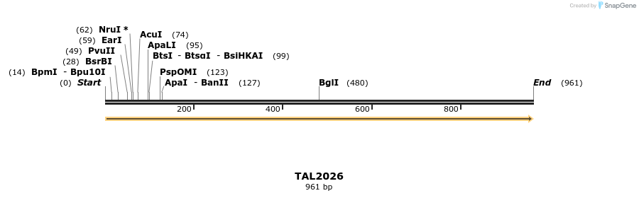 52623_map