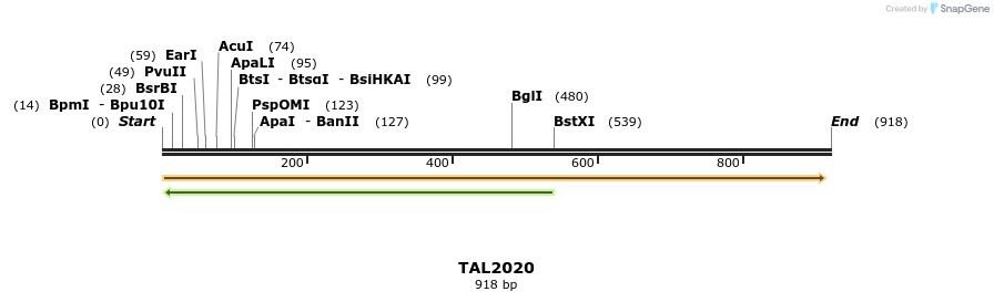 52624_map