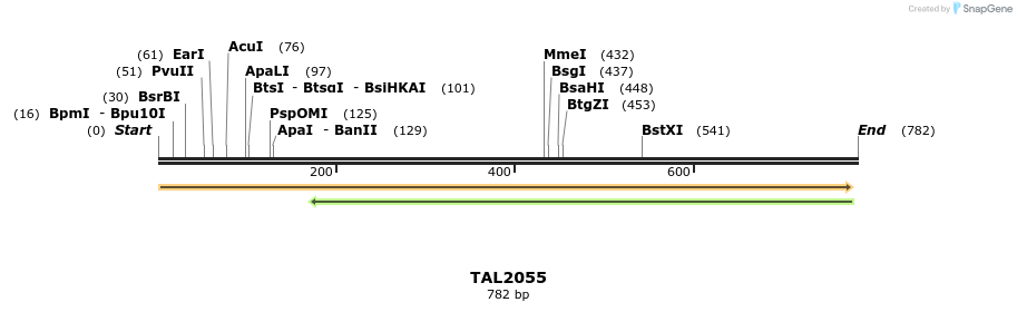 52625_map