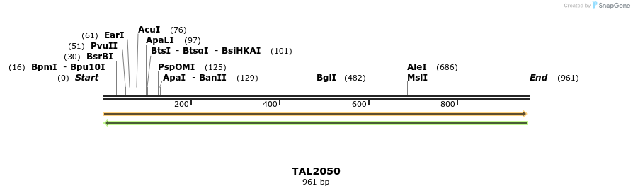 52627_map