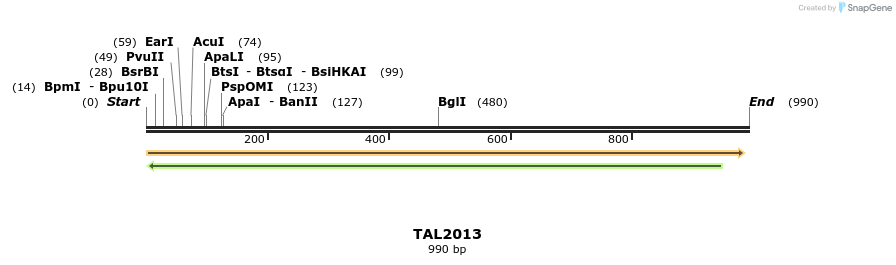 52629_map