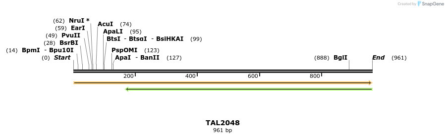 52631_map