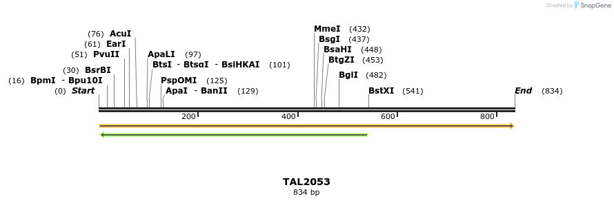52636_map