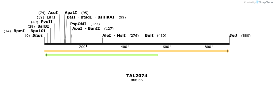 52637_map