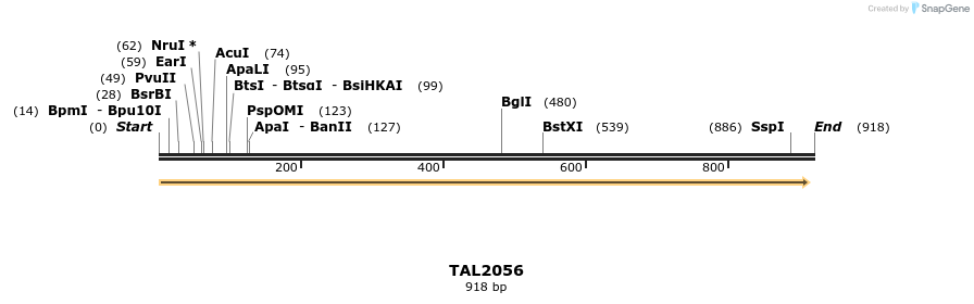 52638_map