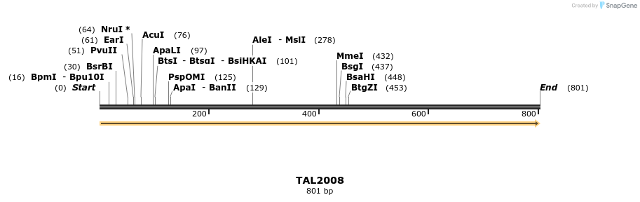52641_map