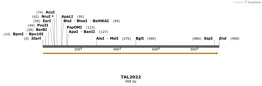 52643_map