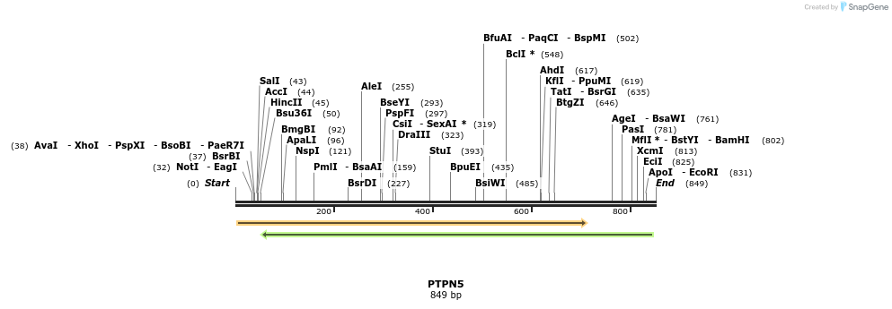 52645_map