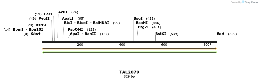 52646_map