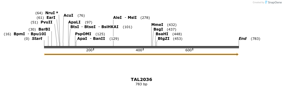 52650_map
