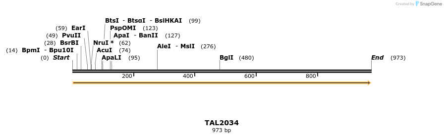 52654_map
