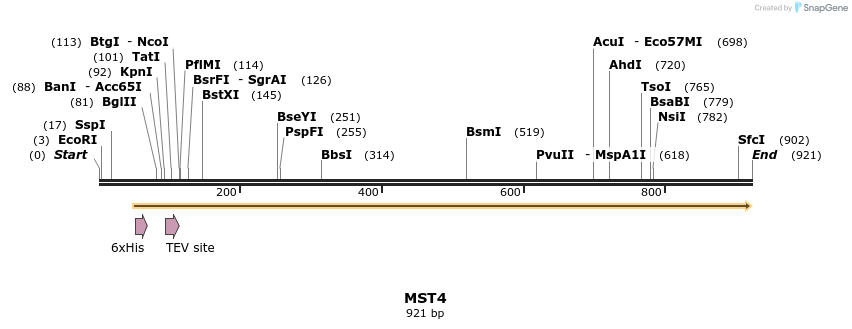 52661_map