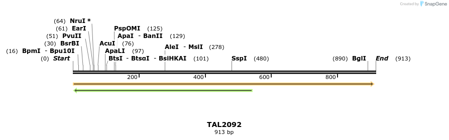 52663_map