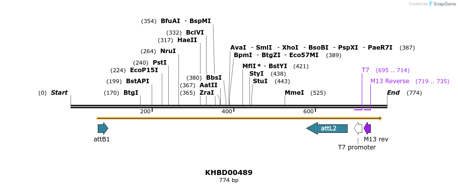 52681_map