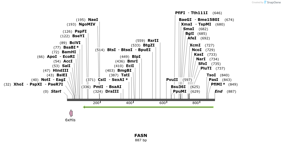 52695_map
