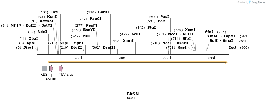 52697_map