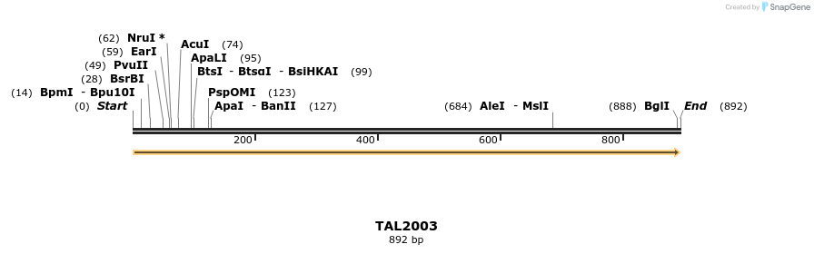52699_map