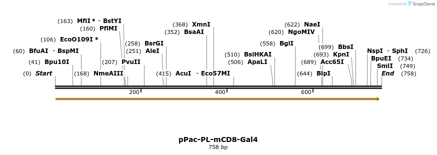 52700_map