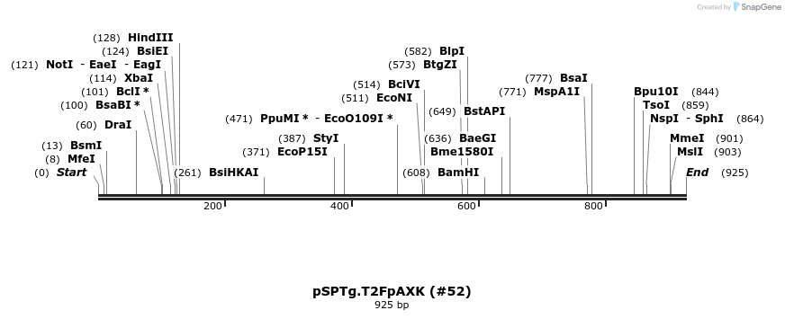 52703_map