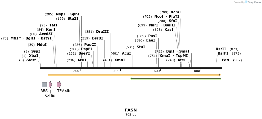 52704_map