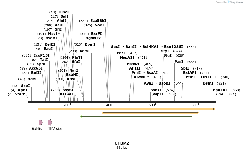52708_map