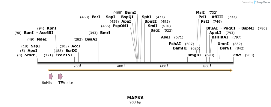 52711_map