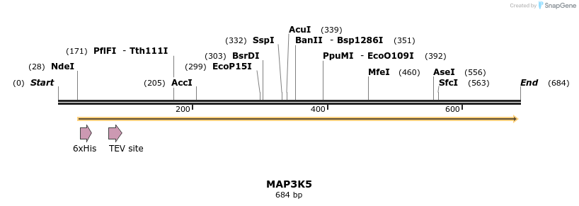 52716_map