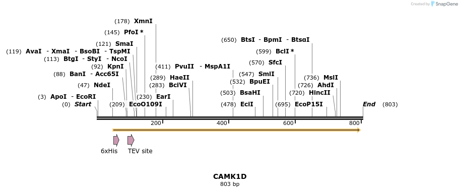 52717_map