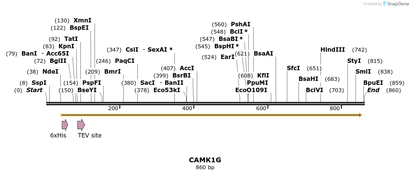 52718_map