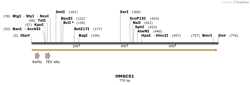 52721_map