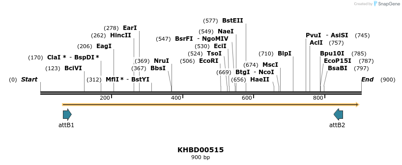 52734_map