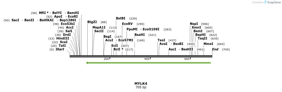 52736_map
