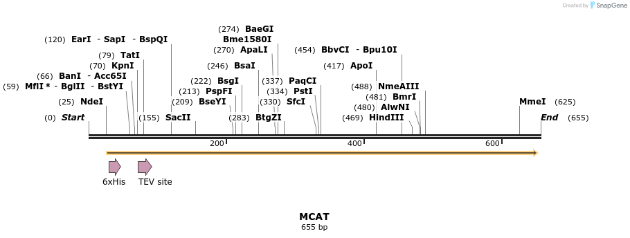 52737_map