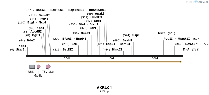 52739_map