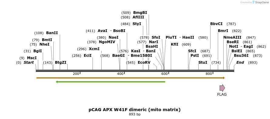 52741_map