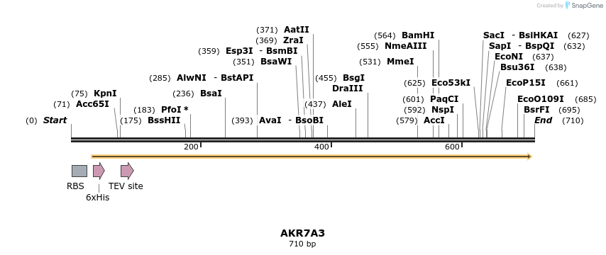 52742_map